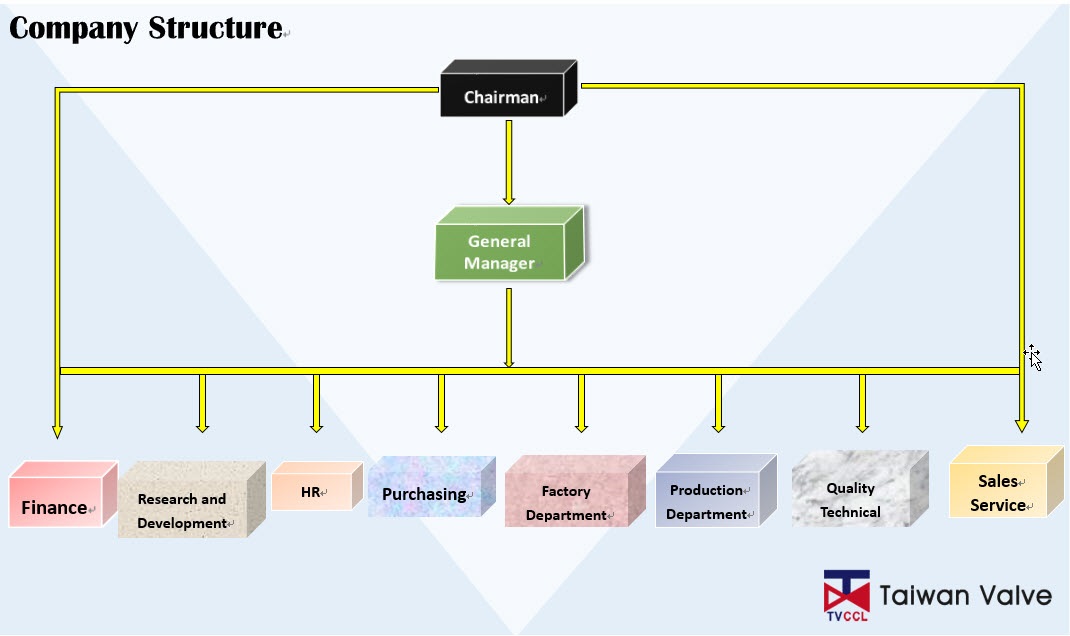 Company Structure Taiwan Valve Centre Co., Ltd.